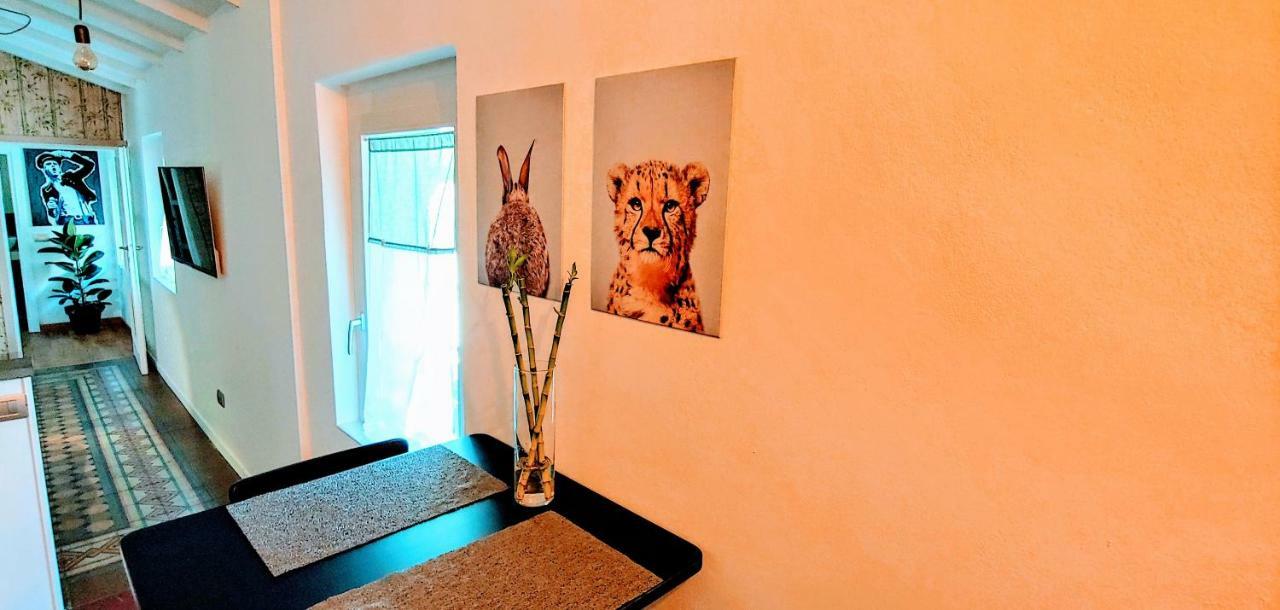 Db House, Town Center Apartment Bergamo Pokój zdjęcie